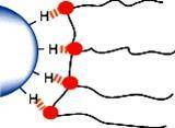 Hydrogen bond mechanism