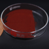 Povidone Iodine（PVP-I）